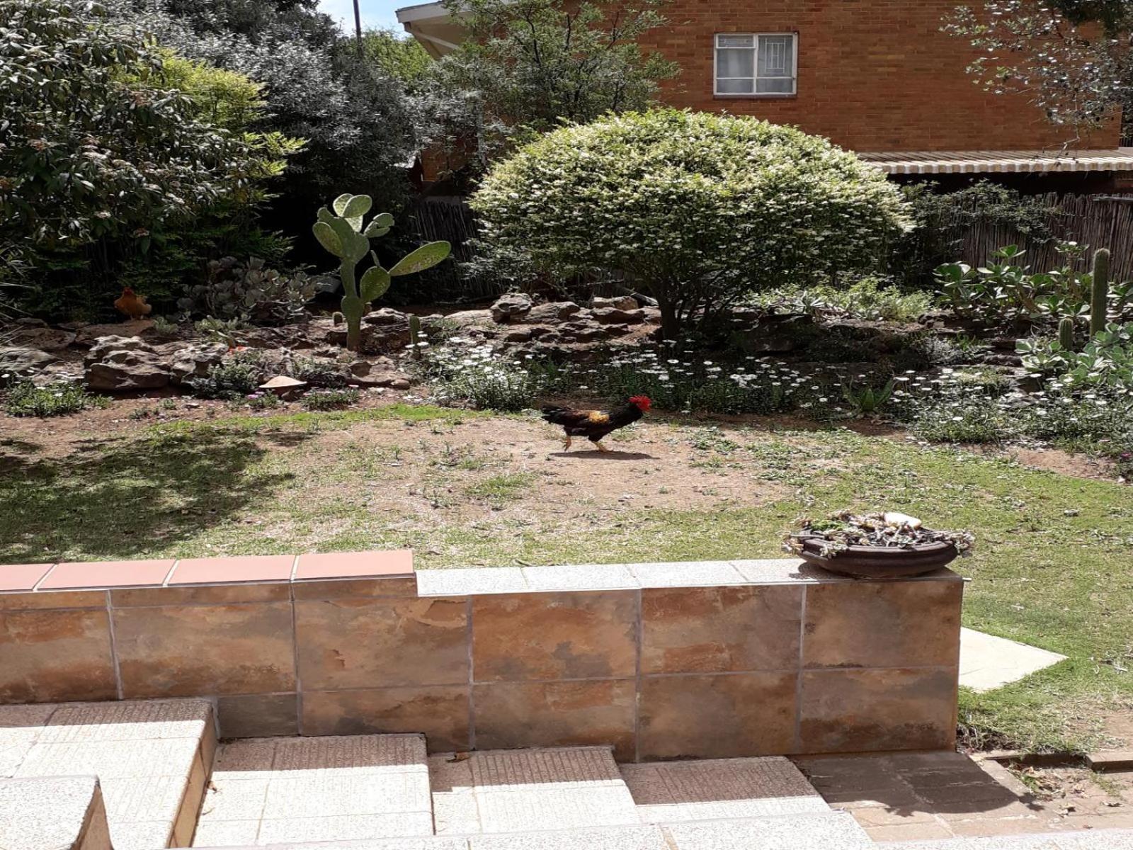 Aandrus Bnb Kestell Extérieur photo